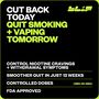 Blip Nicotine Mini Lozenges, Mint Freeze, 2mg, 27 ct., , large image number 2